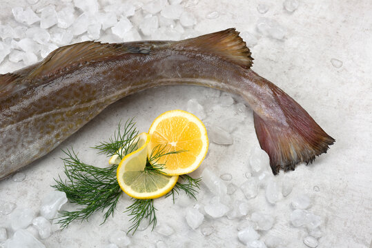 Fischflosse eines Dorsch, Kabeljau auf einem Bett aus Crushed Ice, 