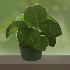 a green flower in a pot on the window