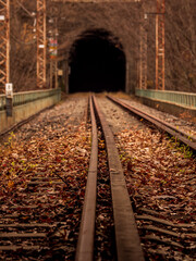 Obraz premium 晩秋の廃線跡 信越線の碓氷峠 横川軽井沢間 11月