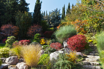 Crimea. Yalta. Beautiful autumn landscape with stream, stone stair and bright red, green and yellow...