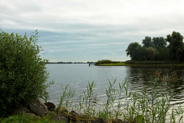 Wetland and nature reserve for birds. With reeds along a lake. Bird sanctuary and recreation area. Lauwersmeer National Park, Netherlands