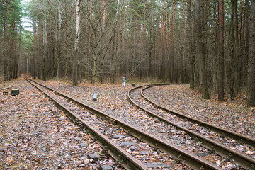 Photo of a fairy-tale railway in the forest. Railway junction.