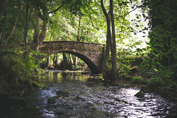 old stone bridge in the forest