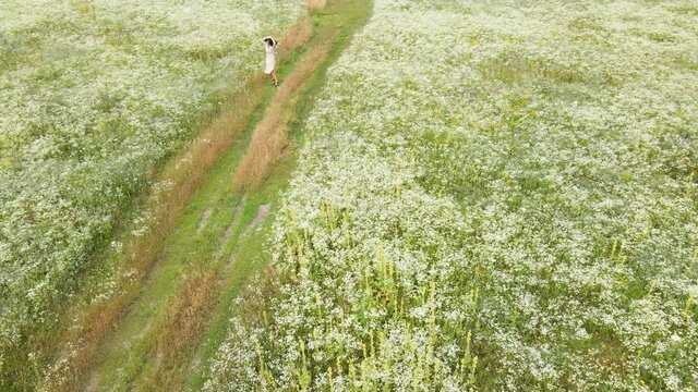 Drone aerial view of happy woman in dress dance and whirl in flower blooming meadow, in countryside, in the field on summer day, feel the nature, relax, alone travel. Slow motion.