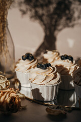 Beautiful cakes with butter cream and blueberries on a beige background