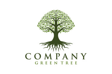 Obraz premium Tree of Life, oak banyan leaf and root seal emblem stamp logo design inspiration