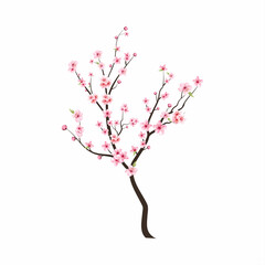 Fototapeta premium Watercolor cherry bud. Cherry blossom branch with sakura flower. Watercolor cherry blossom vector. Pink sakura flower background. Cherry blossom flower blooming vector. Sakura on white background.