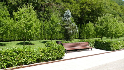 bench in the park