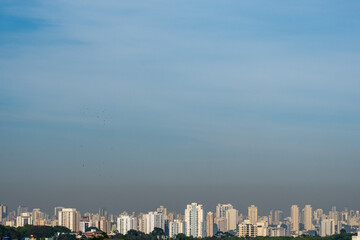 Skyline de São Paulo periodo diurno
