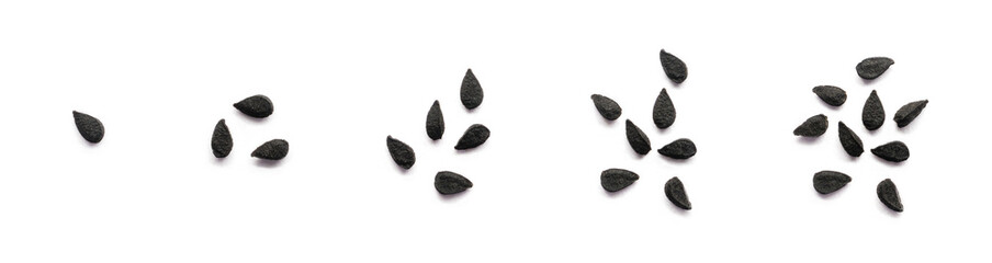 odd number of black seeds, also known as black cumin or caraway or kalonji, isolated on white background, closeup collection, macro 