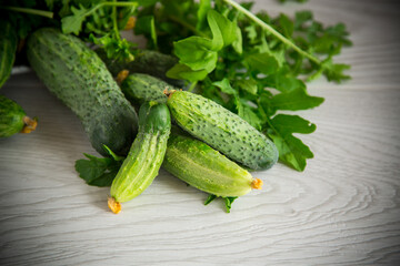 organic cucumbers with herbs on a wooden table