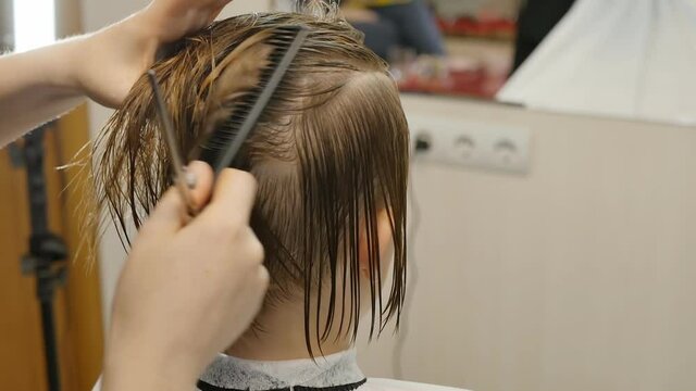 female haircut process. A hairdresser cuts a teenage girl's hair. Divide the hair into upper and lower zones with a comb. rear view