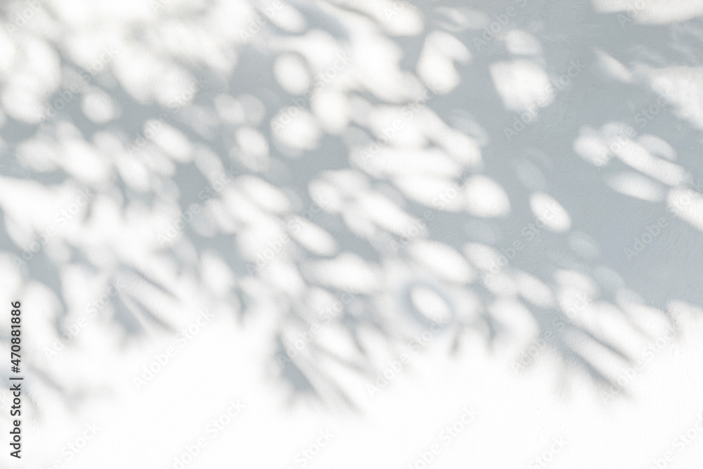 Poster Tree shadow and leaf branch background.  Nature leaves tree branch dark shadow and light from sunlight dappled on white concrete wall texture for background wallpaper and design