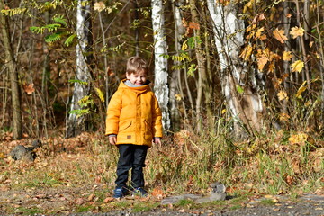CHłopiec na jesiennym spacerze - obrazy, fototapety, plakaty
