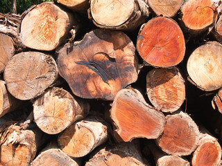 Pattern of log wood pile