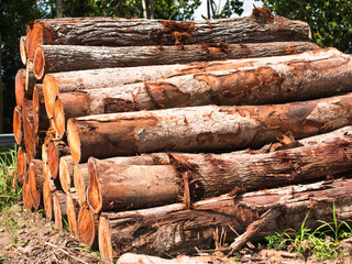 Pile of sawn log lumber on the ground