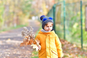 CHłopiec na jesiennym spacerze - obrazy, fototapety, plakaty