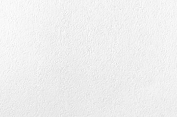 Fototapeta premium White cardboard texture background