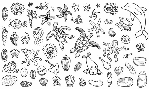 Set of vector illustrations of various outline graphic icons with marine animals and fish against white background