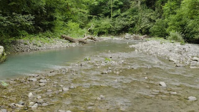 Caucasus. Flight over the mountain river Khosta in the area of yew-boxwood grove. Subtropical forest.