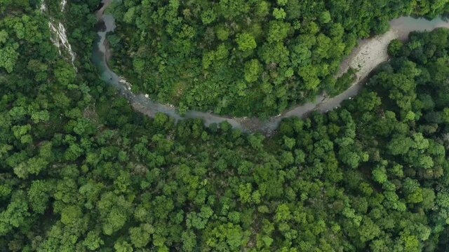 Caucasus. Flight over the mountain river Khosta in the area of yew-boxwood grove. Subtropical forest.