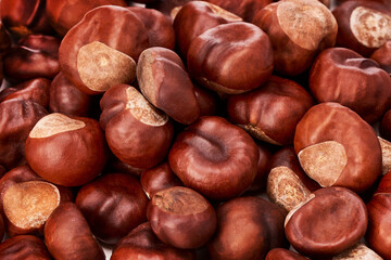 Inedible chestnuts much up close 