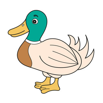 Simple cartoon icon. Illustration of duck. Vector hand drawn illustration on white