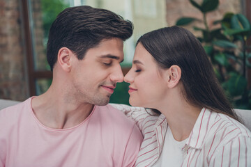 Portrait of attractive sweet cute dreamy cheery spouses sitting on comfy divan homey cuddling enjoying at home indoors