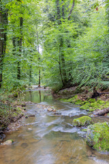 Fototapeta na wymiar Crystal clear calcareous water flowing over the stones in the Black Ernz river between trees and green wild vegetation in the background, Mullerthal Trail in Luxembourg. Long exposure image