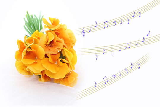 三色スミレ Images Browse 336 Stock Photos Vectors And Video Adobe Stock