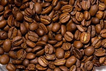 Many roasted coffee beans close up
