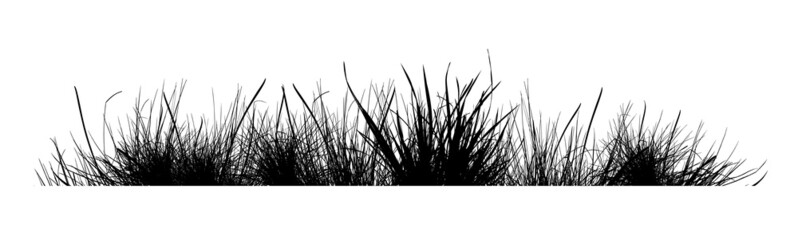 Silhouette of black grass. Vector illustration