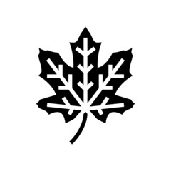 maple tree leaf glyph icon vector. maple tree leaf sign. isolated contour symbol black illustration