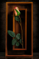 Still Life Image of a Pink Silk Rose in a Bamboo Box
