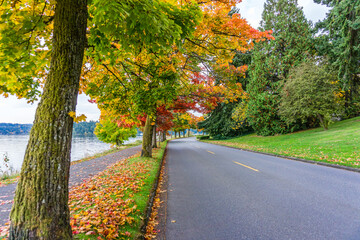 Obraz premium Scenic Fall Shoreline Landscape 11