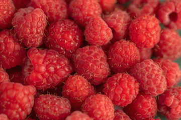Ripe red raspberries on a plate.