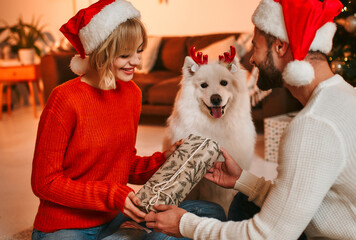 Couple in love for New Year and Christmas with a dog at home