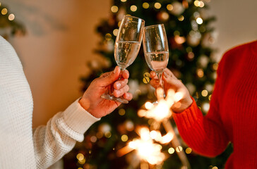Couple in love for New Year and Christmas with a dog at home