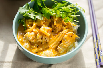 Chicken curry with mango and coriander and rice 