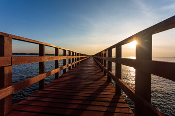 Obraz premium The forest mangrove with wooden walkway bridge,Red bridge and bamboo line