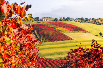Castelvetro countryside during autumn. Castelvetro, Modena province, Emilia romagna, Italy.