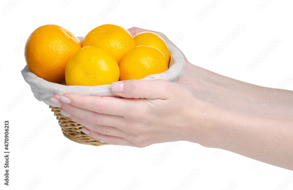 Wall mural basket with tangerines in hand on white background isolation