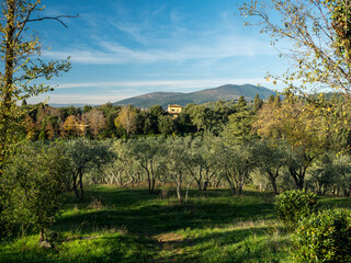 The beautiful view in the City Florence Italy