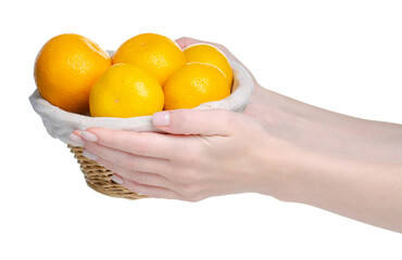 Basket with tangerines in hand on white background isolation
