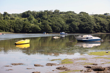 Obraz premium boats on the river