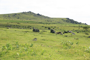 Obraz premium dartmoor