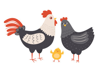 Cute hen, rooster and little chick flat vector illustration. Chicken family isolated on white background. Domestic farm poultry