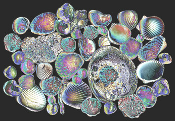 Vibrant iridescent seashells. Artistic arrangement of multicolored shells of different hues,...