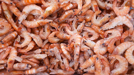 A Lot Of Fresh Shrimp For Sale In A Fish Market. Fresh Prawns For Sale At A Fish Market