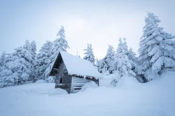 Fotobehang charming wooden hut in snowy fir forest during frozen winter © lukaszimilena